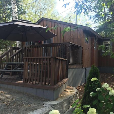 Somerset Inn 카디프 외부 사진